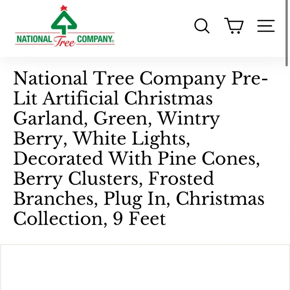 Lighted Garland (9-feet)